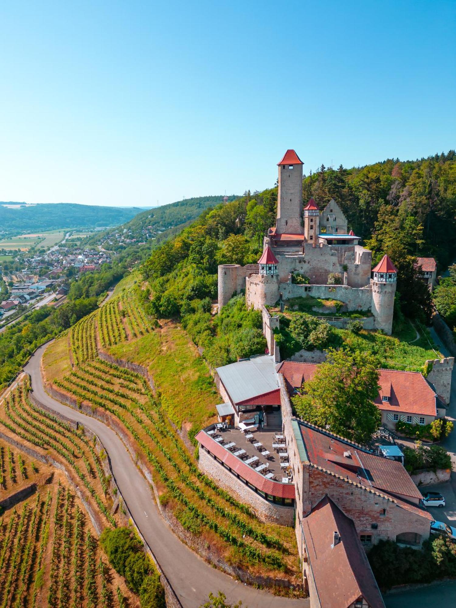 Hotel-Restaurant Burg Hornberg Неккарциммерн Екстер'єр фото